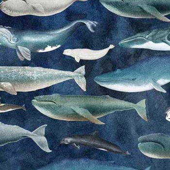 Siren's Call 29993-W Whales by Dan Morris for QT Fabrics