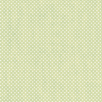 Laurel 53379A-4 Spring Green by Whistler Studios for Windham Fabrics