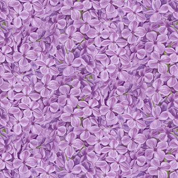 Bloomerang 958-55 Lavender by Jane Shasky for Henry Glass Fabrics