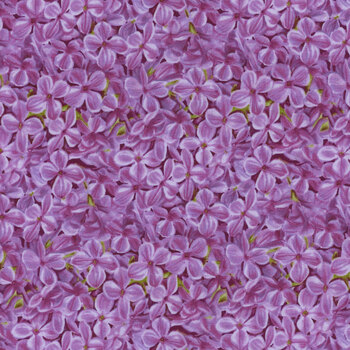 Bloomerang 958-55 Lavender by Jane Shasky for Henry Glass Fabrics