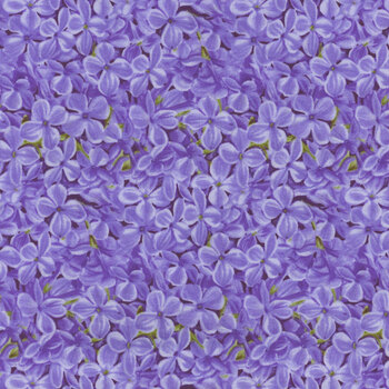Bloomerang 958-75 Perwinkle by Jane Shasky for Henry Glass Fabrics