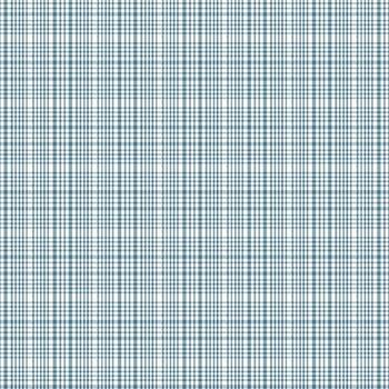 Friday Harbor 3180-17 Lt Blue by Janet Rae Nesbitt for Henry Glass Fabrics