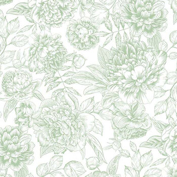 Blush SP25622-72 by Michel Design Works for Northcott