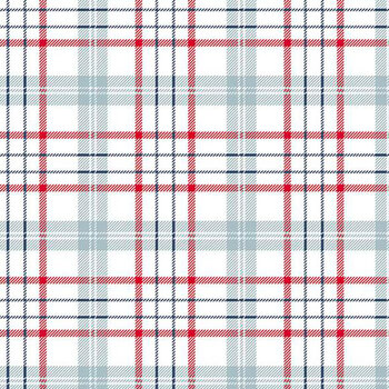 The Magic of Christmas Quilt Fabric - Gingham Plaid in Green - C13646- –  Cary Quilting Company