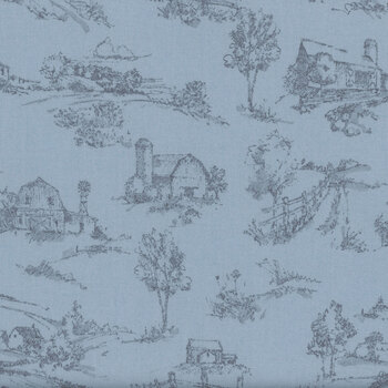 Countryside C14532-BLUE by Lisa Audit for Riley Blake Designs