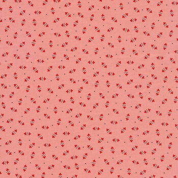 Autumn C14655-CORAL by Lori Holt for Riley Blake Designs