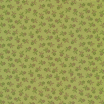 Autumn C14664-LETTUCE by Lori Holt for Riley Blake Designs