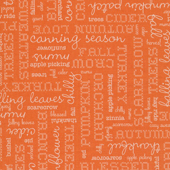 Autumn C14667 Words Pumpkin by Lori Holt for Riley Blake Designs