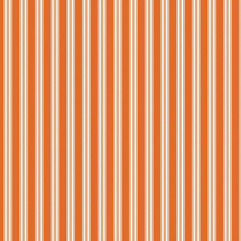 Sophisticated Halloween C14624-Ticking Orange by My Mind's Eye for Riley Blake Designs