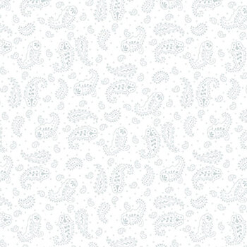 Quilter's Flour V 1265-01W Delicate Paisley from Henry Glass Fabrics