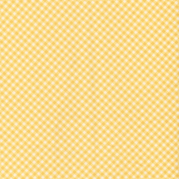 Playtime Flannel F10691-S Yellow by Maywood Studio