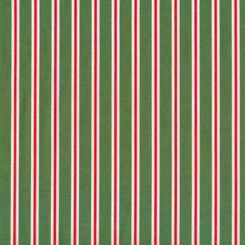 Holiday Cheer C13617-Green by My Mind's Eye for Riley Blake Designs