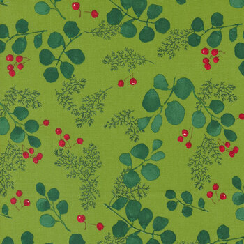 Winterly 48764-13 Grass by Robin Pickens for Moda Fabrics