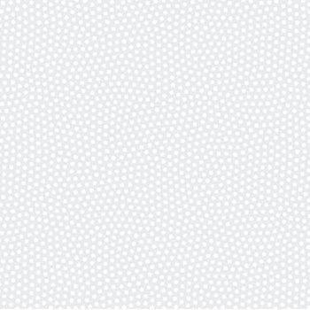 Basically Black + White  10017-10 by Patrick Lose for Northcott Fabrics