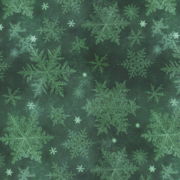 Snowfall SNOF-5454-DG from P&B Textiles