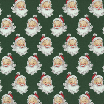 Merry Little Christmas C14842-GREEN by My Mind's Eye for Riley Blake Designs
