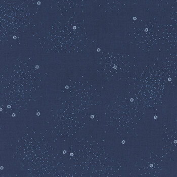 Dainty Daisy C665-NAVY by Beverly McCullough from Riley Blake Designs REM