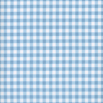 Essentials Gingham 39162-141 White / Baby Blue from Wilmington Prints