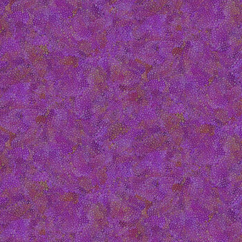 Dragonfly Illusion CD3212-PURPLE Purple from Timeless Treasures Fabrics
