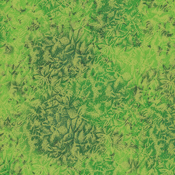 Fairy Frost CM0376-LIME-D Lime from Michael Miller Fabrics