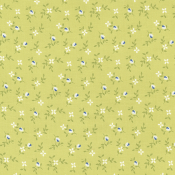 Cali & Co 29192-38 Lime by Corey Yoder from Moda Fabrics