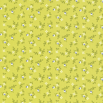 Cali & Co 29192-38 Lime by Corey Yoder from Moda Fabrics