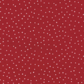 Red Delicious C15666-RED Pomegranate Sorbet by Riley Blake Designs