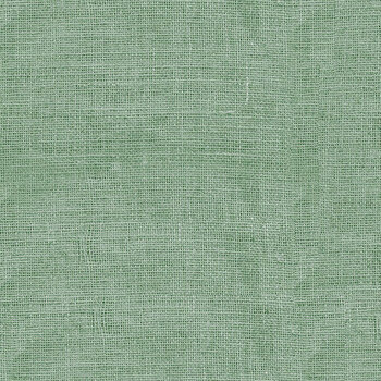 Bellerose TEXTURE-CD3149 Green from Timeless Treasures Fabrics