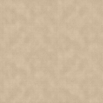 Toolbox Basics II R540554-TAN by Dolores Smith from Marcus Fabrics