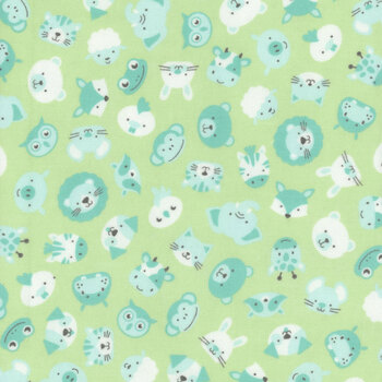 Cozy Cotton Flannel 22728-308 Fresh Dew from Robert Kaufman Fabrics