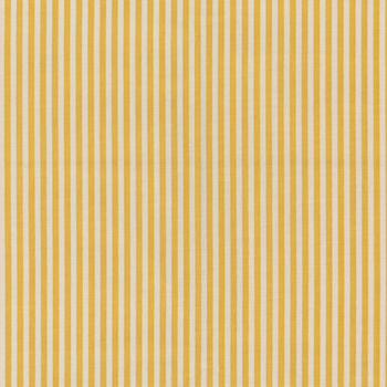 Stripes C505-HONEY by Riley Blake Designs