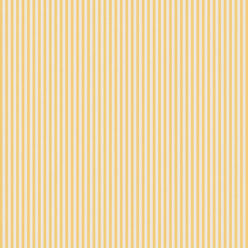 Stripes C505-HONEY from Riley Blake Designs