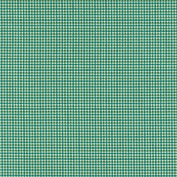 Bee Plaids C12025-JADE by Lori Holt for Riley Blake Designs