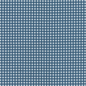 Gingham C440-DENIM Denim by Riley Blake Designs