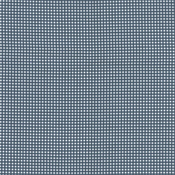 Gingham C455-DENIM Denim by Riley Blake Designs