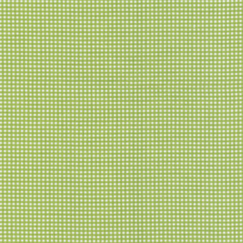 Gingham C455-GREEN by Riley Blake Designs