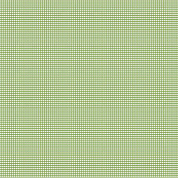 Gingham C455-GREEN Green from Riley Blake Designs