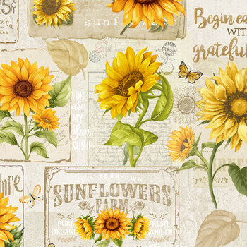 Sunflower Farm FLEUR-CD3360 Beige from Timeless Treasures Fabrics