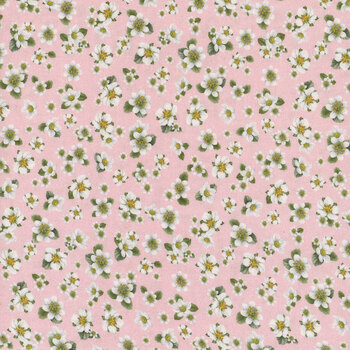 Berry Sweet FRUIT-CD3409 Pink by Timeless Treasures Fabrics