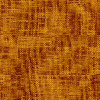 Sunflower Farm TEXTURE-CD3149 Brown from Timeless Treasures Fabrics