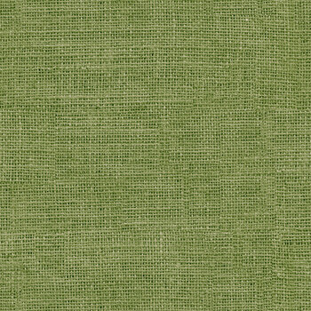Sunflower Farm TEXTURE-CD3149 Olive from Timeless Treasures Fabrics