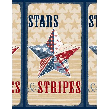 Stars of Valor 30081-234 Multi by Beth Grove for Wilmington Prints