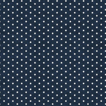 Stars of Valor 30090-414 Navy by Beth Grove for Wilmington Prints