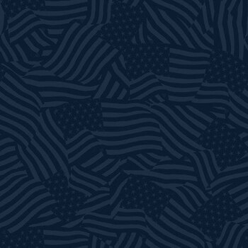 Stars of Valor 30091-444 Navy by Beth Grove for Wilmington Prints