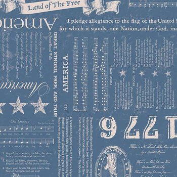 Americana C16080-DENIM Denim by Lori Holt from Riley Blake Designs