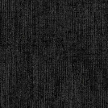 Terrain 2.0 54458-1 Black by Whistler Studios for Windham Fabrics