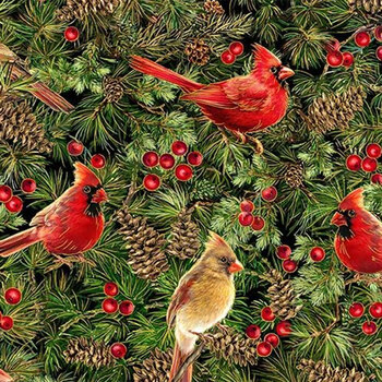 Joyful CM3714-CARDINAL by Timeless Treasures Fabrics