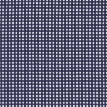 Gingham C440-21 NAVY by Riley Blake Designs