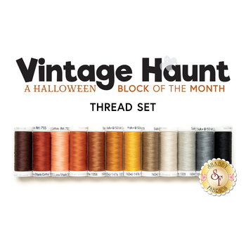  Vintage Haunt - A Halloween BOM - 12pc Thread Set - RESERVE