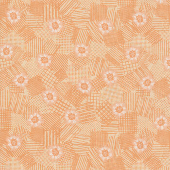 Meadow Lane C10123-MELON by Riley Blake Designs